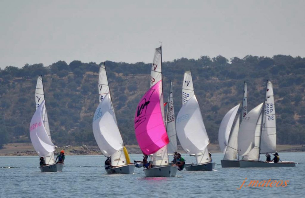 Reypal Race, Vela, Panthos