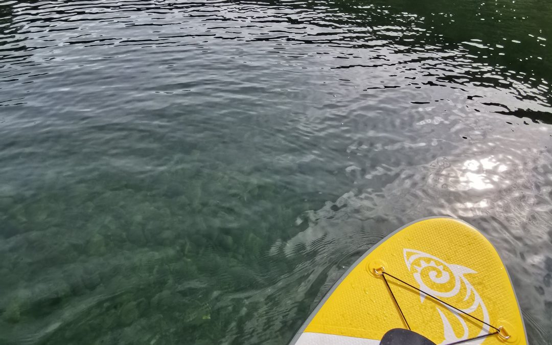 Qué hacemos esta Primavera