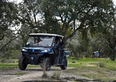 aprende a hacer un rally