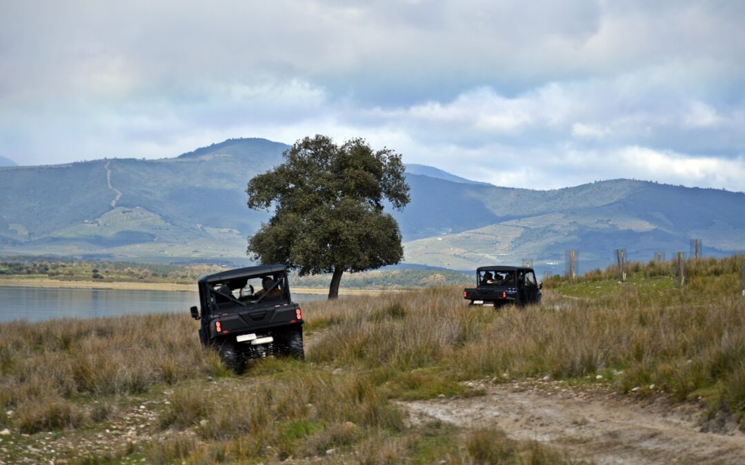 PANTHOS 2026; NUEVA TEMPORADA