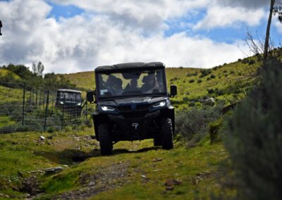 Ruta en buggies Cerezo en Flor 4 Descenso al picoteo
