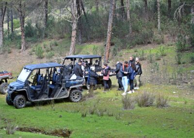 Ruta en buggies Cerezo en Flor 3 DSC 5206
